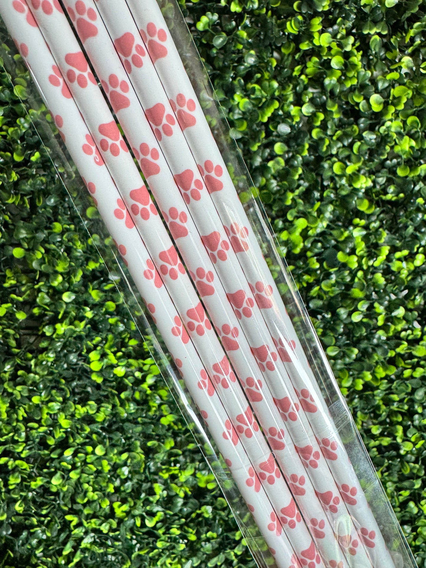 Straw Collection For 16 oz Tumblers Set of 5