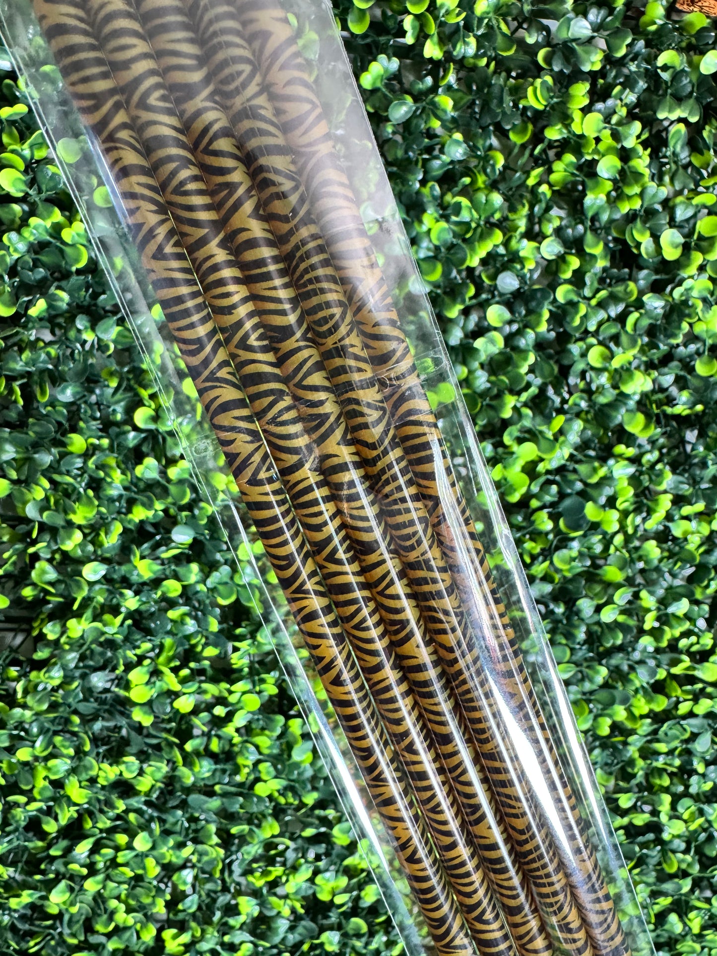 Straw Collection For 16 oz Tumblers Set of 5
