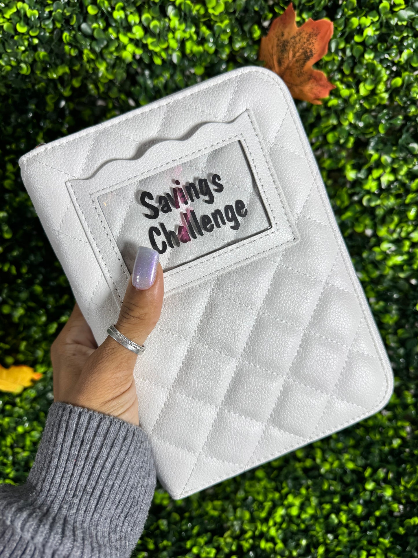 Denominations Savings Challenge Zipper Cash Binder